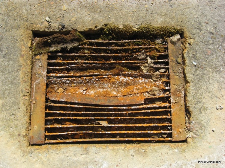 Чернобыльская зона отчуждения