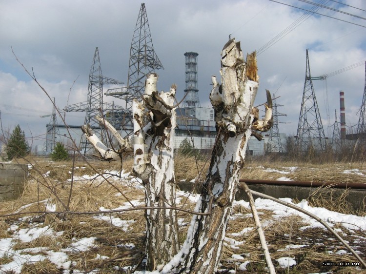 Чернобыльская зона отчуждения