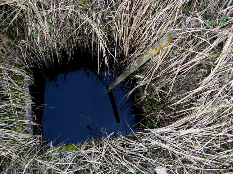 Чернобыльская зона отчуждения