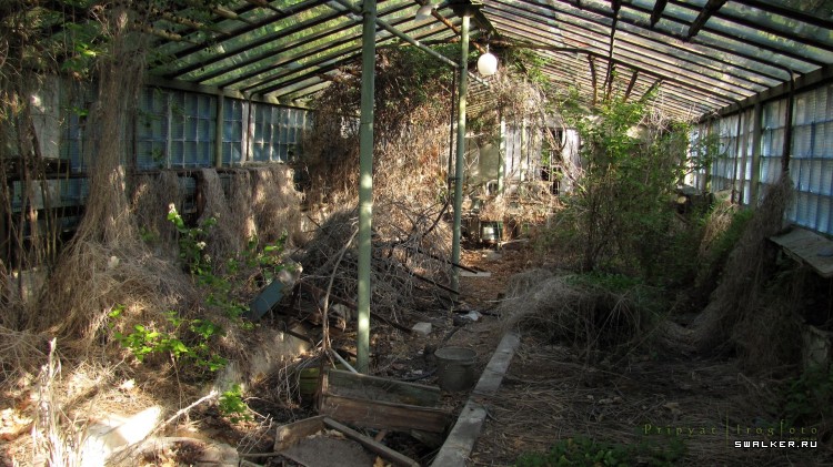 Чернобыльская зона отчуждения