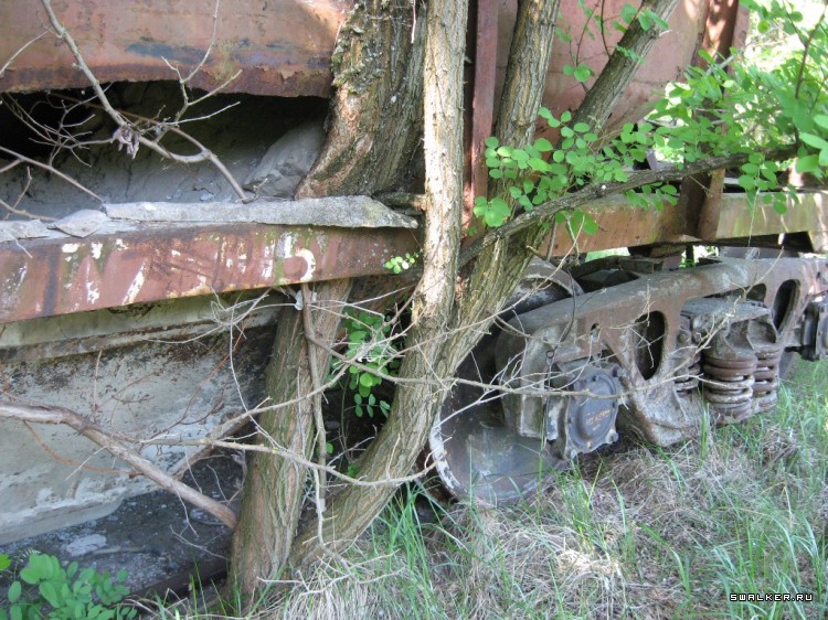 Чернобыльская зона отчуждения