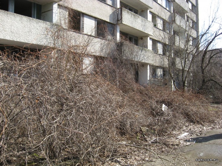 Чернобыльская зона отчуждения