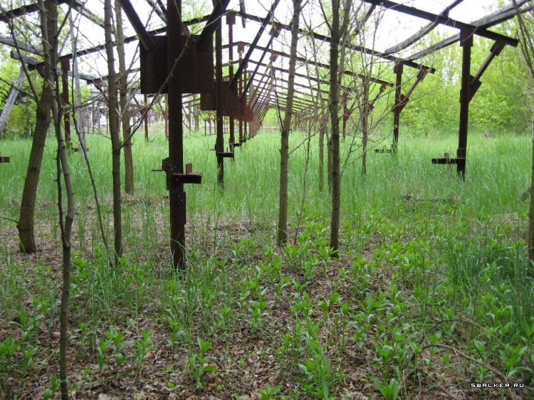 Чернобыльская зона отчуждения