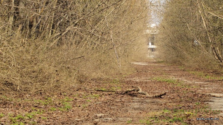 Чернобыльская зона отчуждения