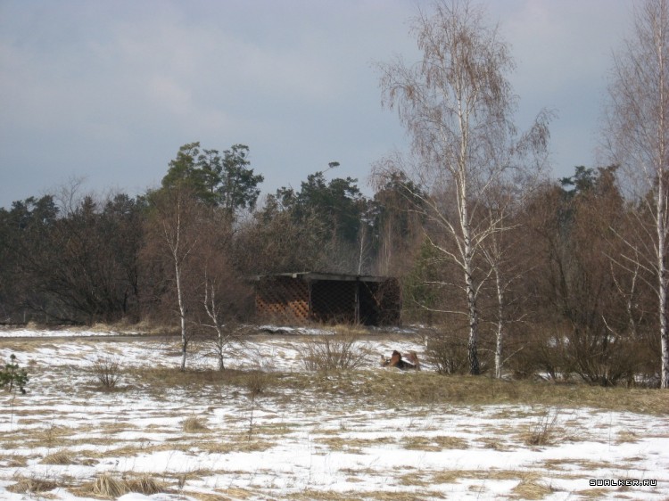 Чернобыльская зона отчуждения