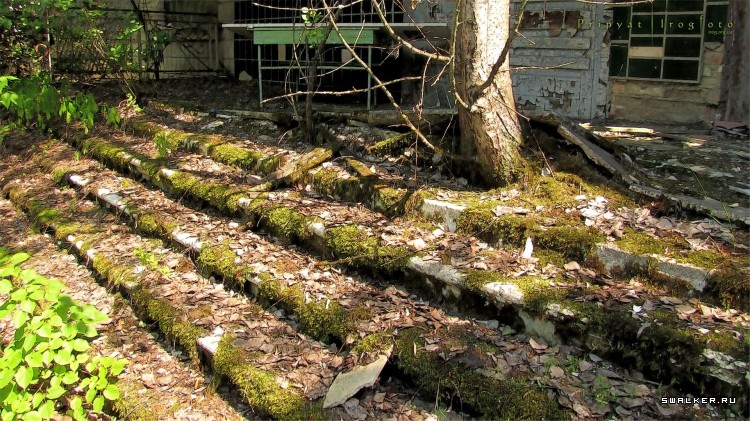 Чернобыльская зона отчуждения