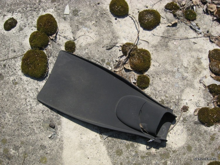 Чернобыльская зона отчуждения