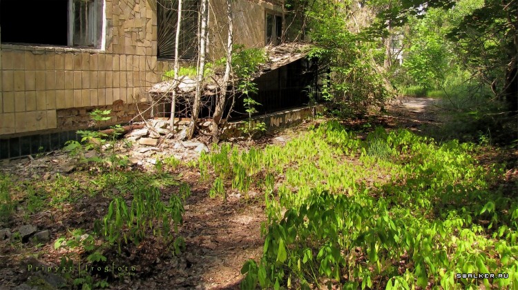 Чернобыльская зона отчуждения