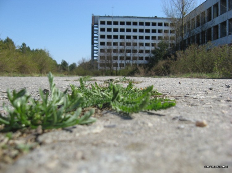 Чернобыльская зона отчуждения