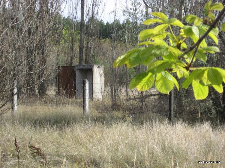 Чернобыльская зона отчуждения