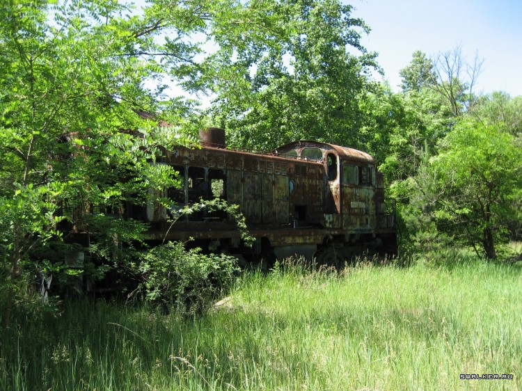 Чернобыльская зона отчуждения