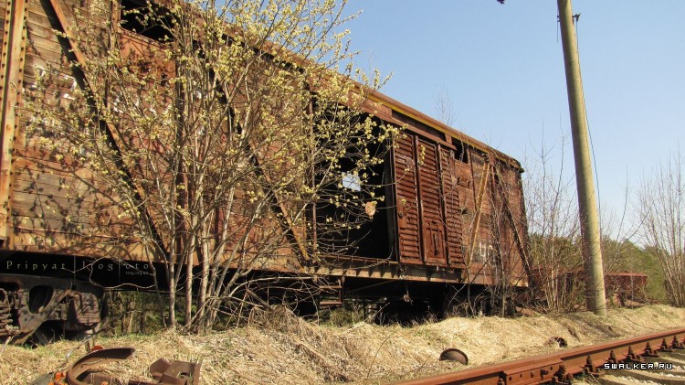 Чернобыльская зона отчуждения