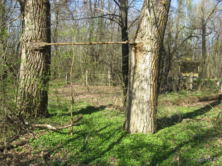 Чернобыльская зона отчуждения