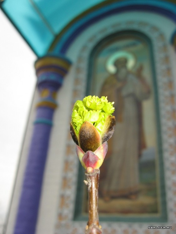 Чернобыльская зона отчуждения