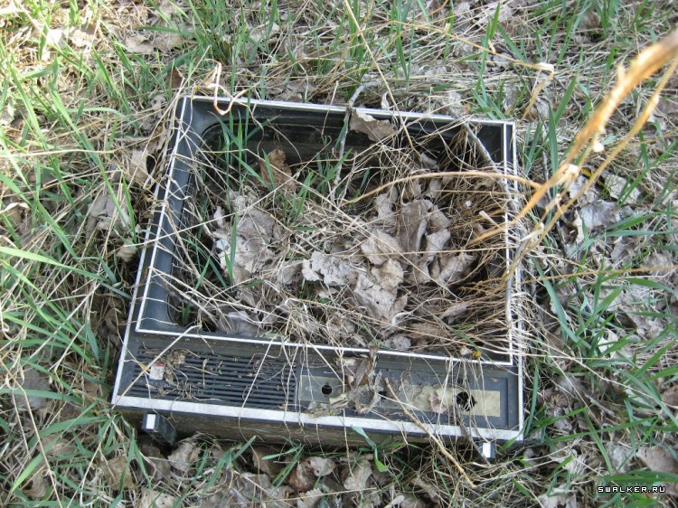 Чернобыльская зона отчуждения