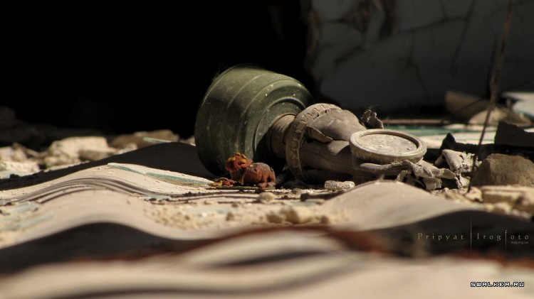 Чернобыльская зона отчуждения