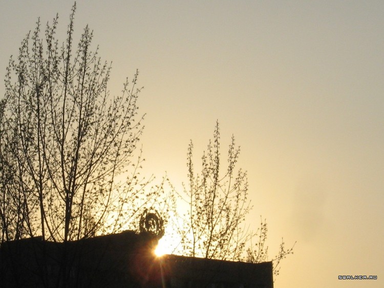 Чернобыльская зона отчуждения