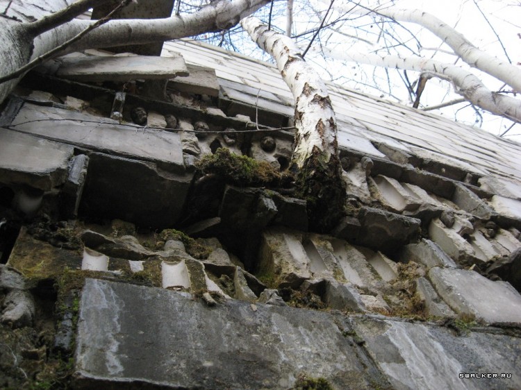 Чернобыльская зона отчуждения