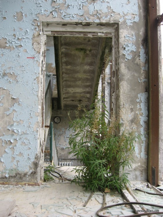 Чернобыльская зона отчуждения