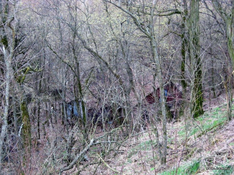 Чернобыльская зона отчуждения