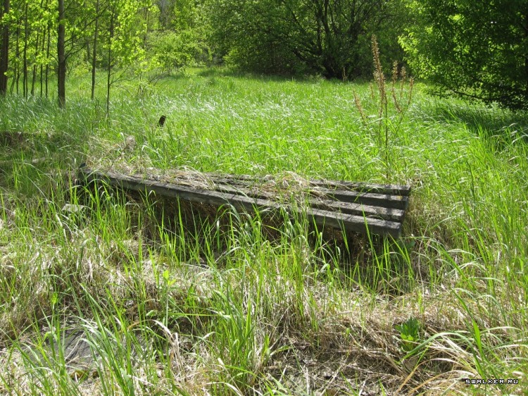 Чернобыльская зона отчуждения