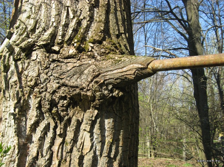 Чернобыльская зона отчуждения