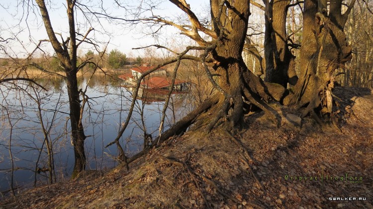 Чернобыльская зона отчуждения