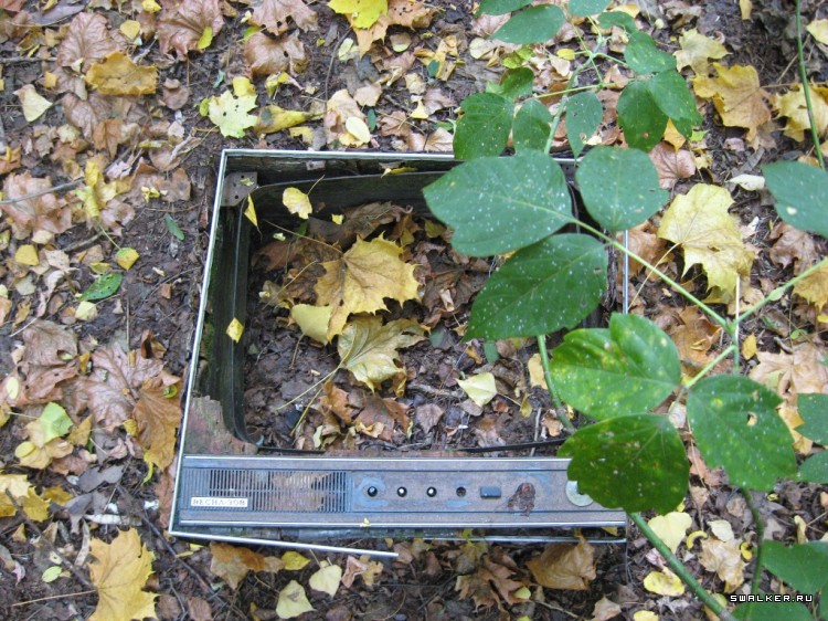 Чернобыльская зона отчуждения