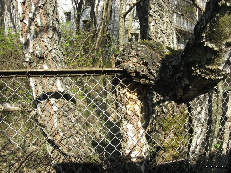 Чернобыльская зона отчуждения