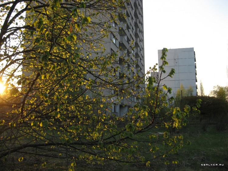 Чернобыльская зона отчуждения