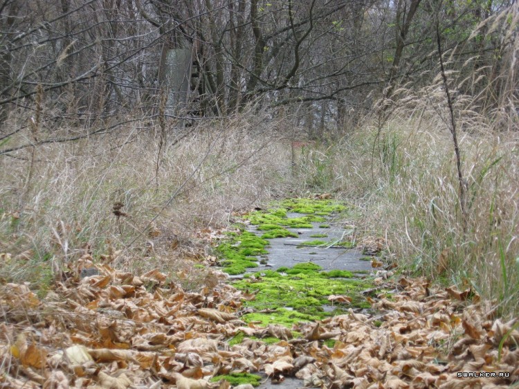 Чернобыльская зона отчуждения