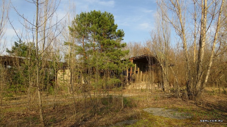 Чернобыльская зона отчуждения