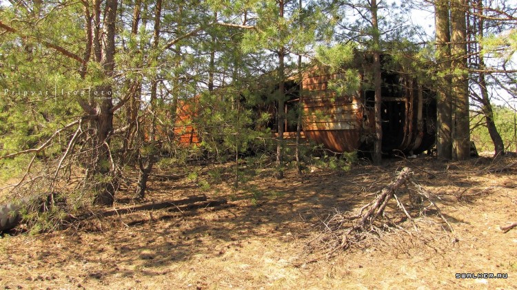 Чернобыльская зона отчуждения