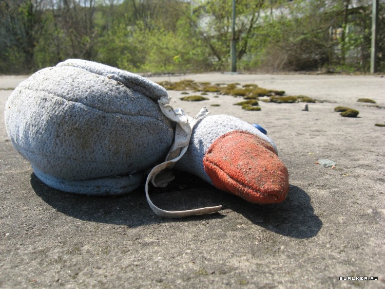 Чернобыльская зона отчуждения