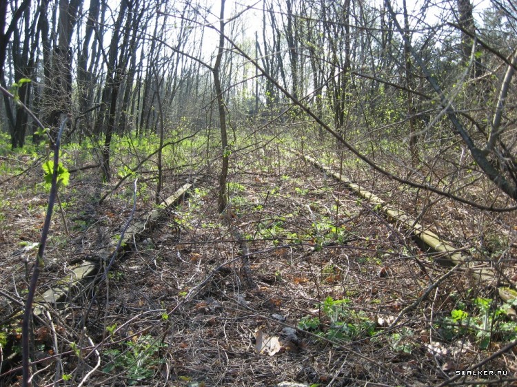 Чернобыльская зона отчуждения