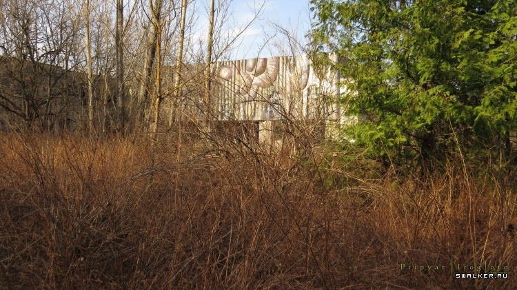 Чернобыльская зона отчуждения