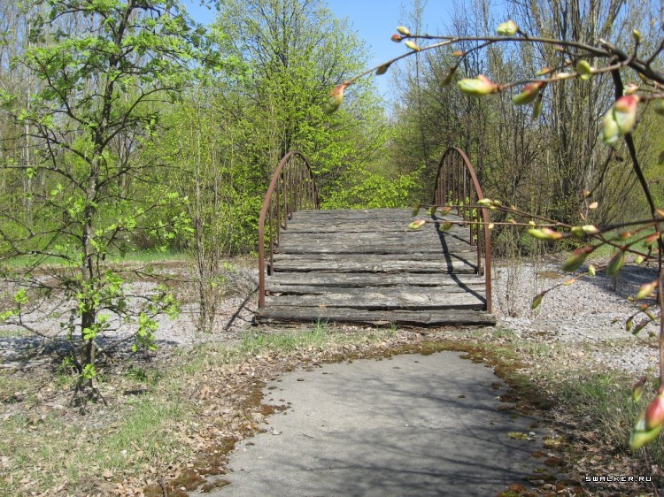 Чернобыльская зона отчуждения