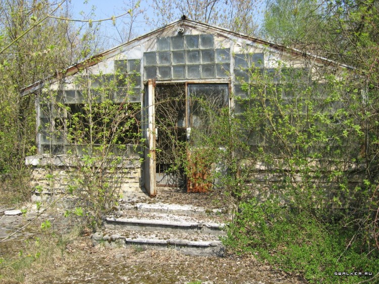 Чернобыльская зона отчуждения