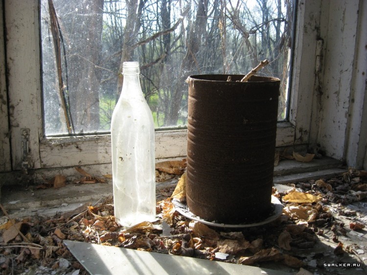 Чернобыльская зона отчуждения