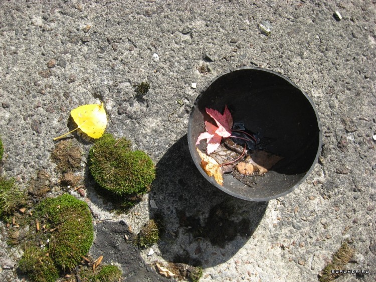 Чернобыльская зона отчуждения