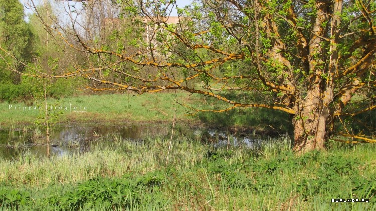 Чернобыльская зона отчуждения