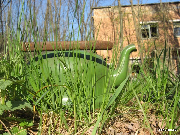 Чернобыльская зона отчуждения