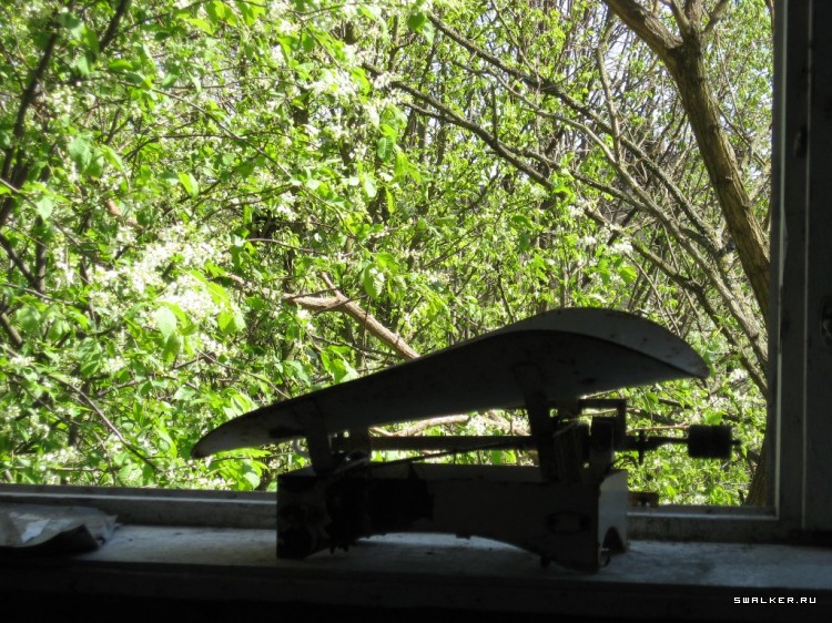 Чернобыльская зона отчуждения