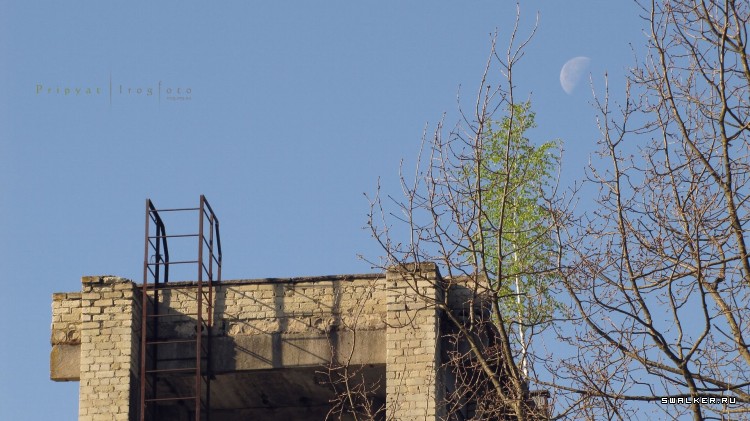 Чернобыльская зона отчуждения