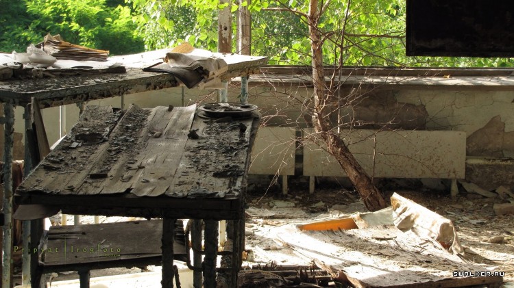 Чернобыльская зона отчуждения