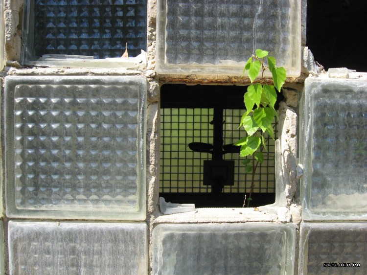 Чернобыльская зона отчуждения