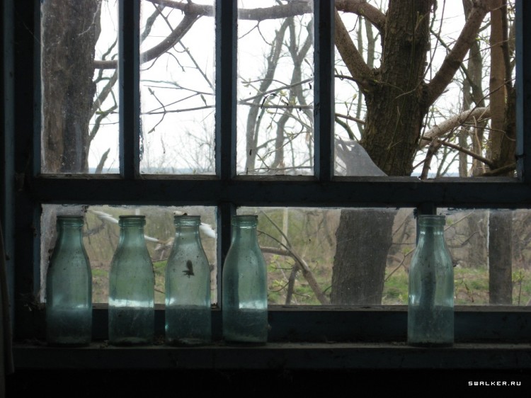 Чернобыльская зона отчуждения