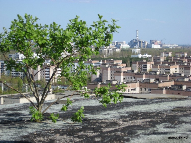 Чернобыльская зона отчуждения