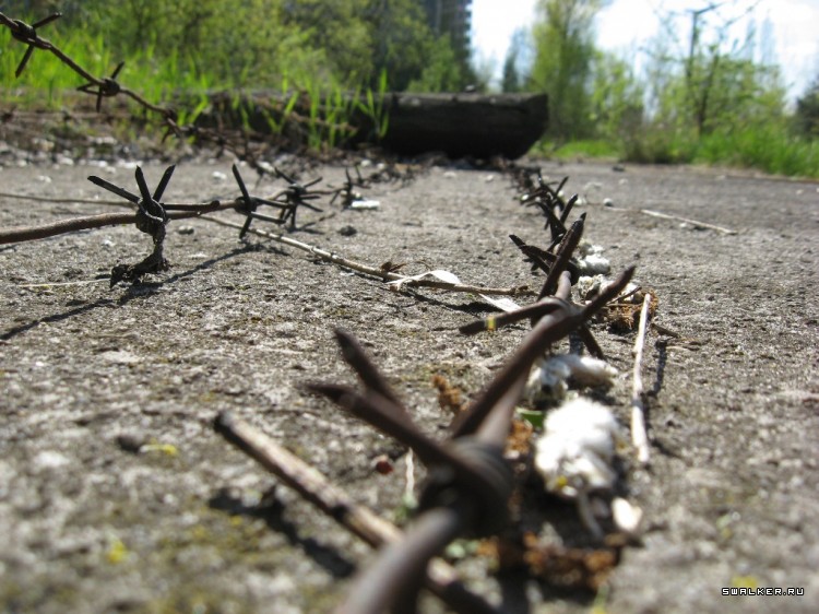 Чернобыльская зона отчуждения