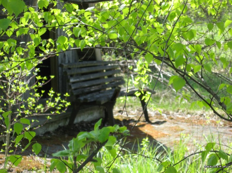 Чернобыльская зона отчуждения